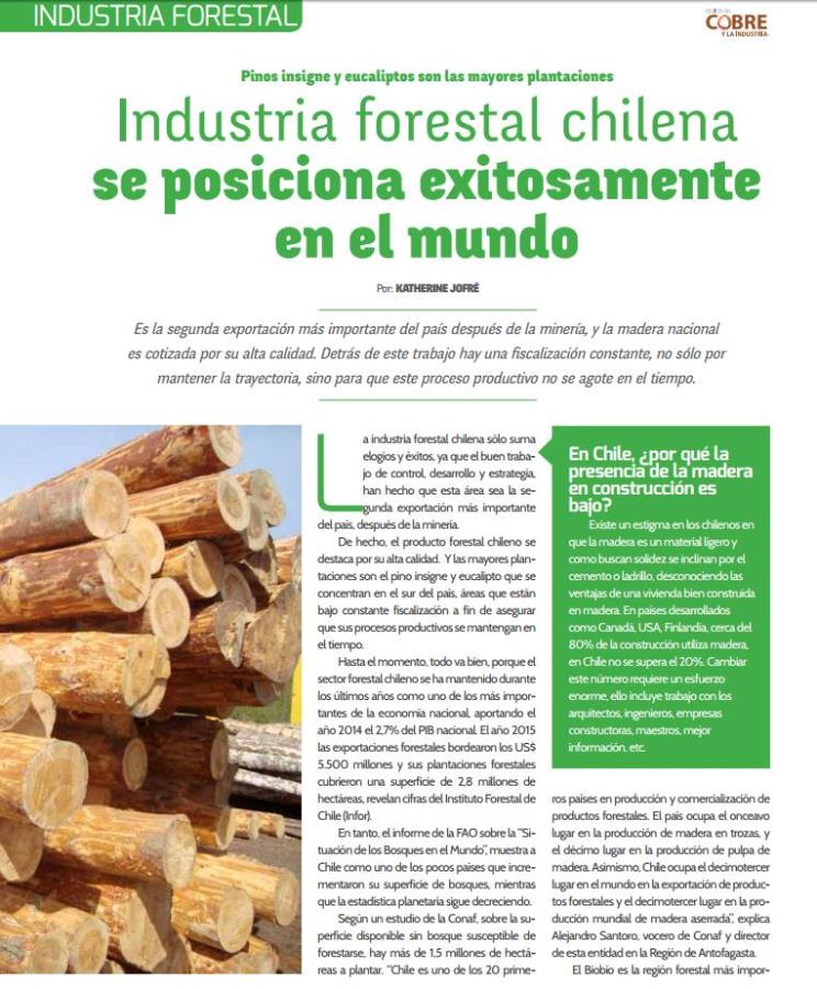 Industria forestal chilena se posiciona exitosamente en el mundo