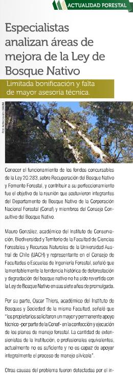 Especialistas analizan áreas de mejora de ley de la Ley de Bosque Nativo