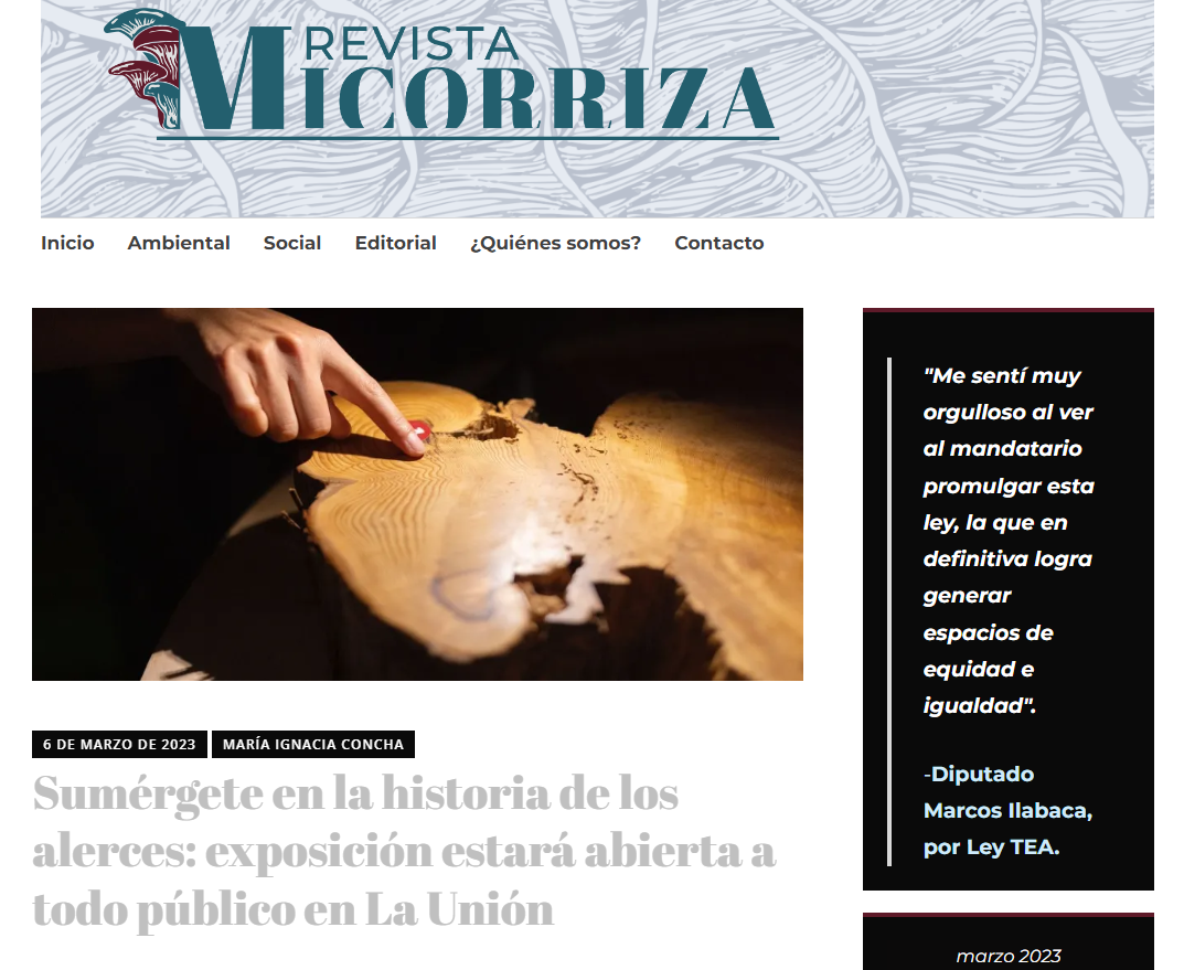 Sumérgete en la historia de los alerces: exposición estará abierta a todo público en LaUnión