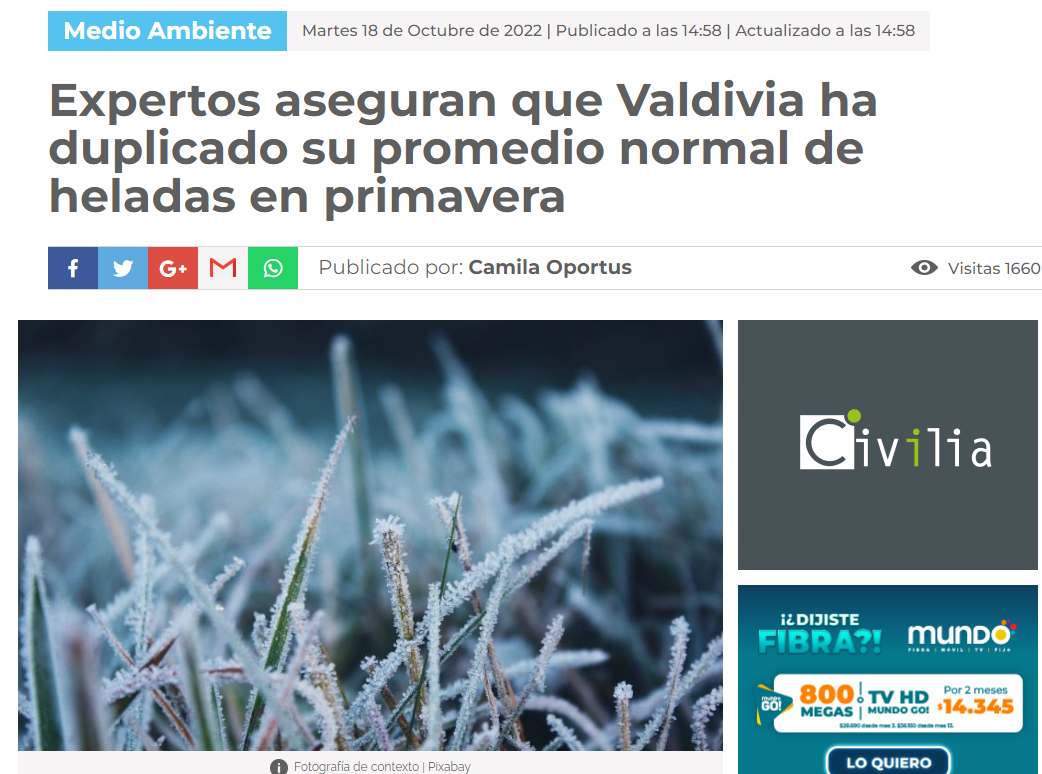 Expertos aseguran que Valdivia ha duplicado su promedio normal de heladas en primavera