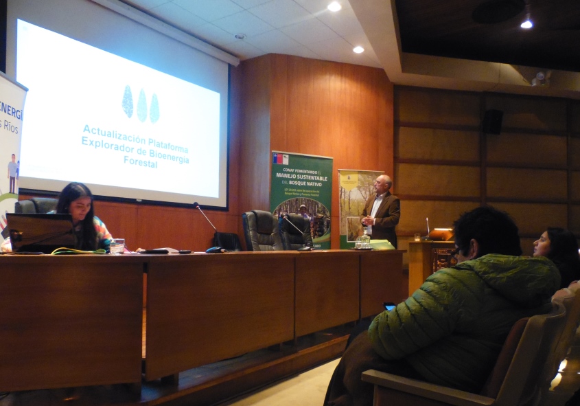 Biomasa: Más de 580 mil hectáreas de bosque nativo como potencial energético