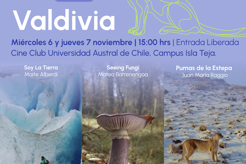 Muestra de cine de vida salvaje y medio ambiente llega esta semana a Valdivia
