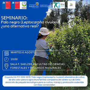 Seminario Palo negro (Leptocarpha rivularis),  ¿una alternativa real?