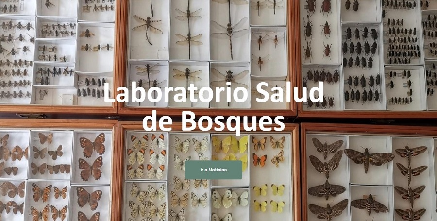 Laboratorio de Salud de Bosques lanza sitio web