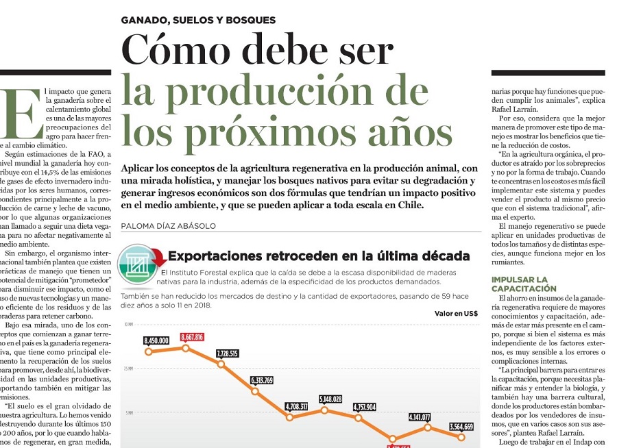 Cómo debe ser la producción de los próximos años