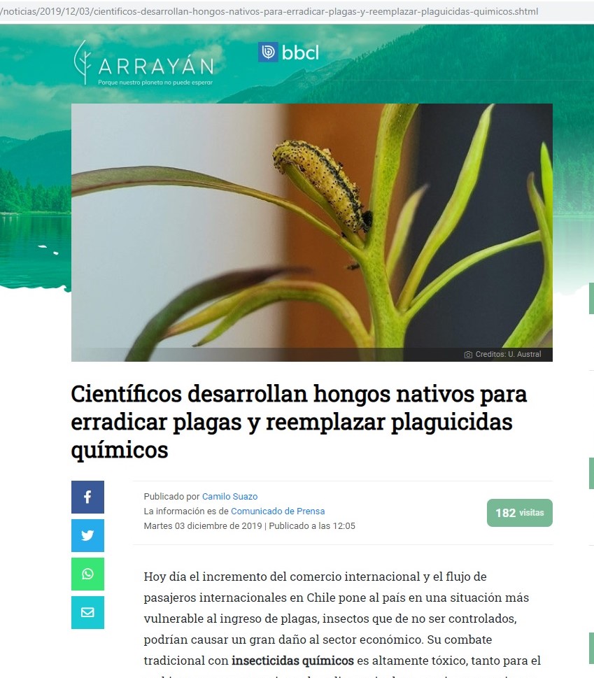 Científicos desarrollan hongos nativos para erradicar plagas y reemplazar plaguicidas químicos