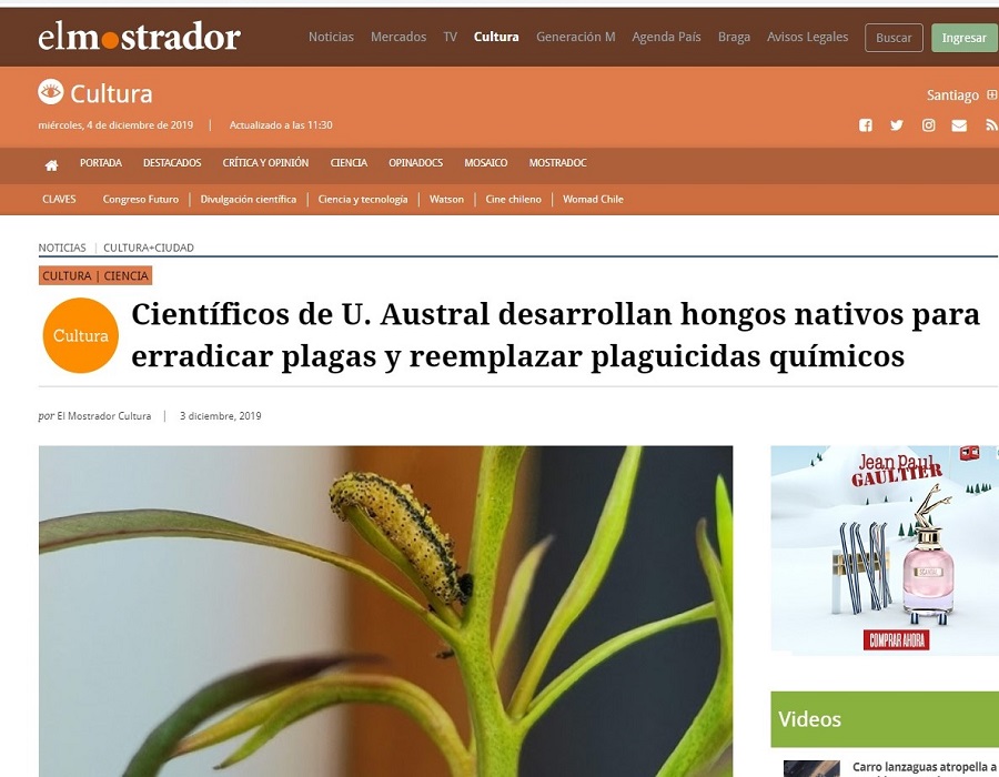 Científicos de U. Austral desarrollan hongos nativos para erradicar plagas y reemplazar plaguicidas químicos