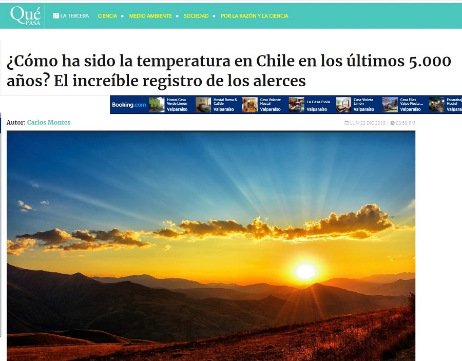 ¿Cómo ha sido la temperatura en Chile en los últimos 5.000 años? El increíble registro de los alerces
