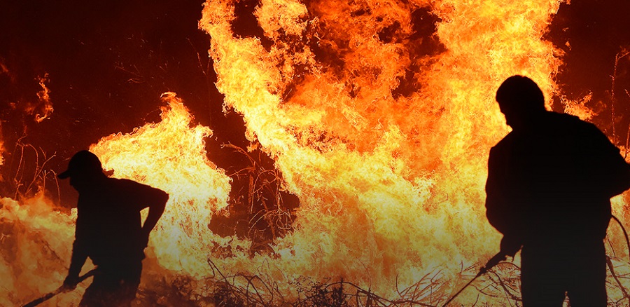 Coordinación, contexto y estrategia: desafíos para la prevención y preparación frente al alto riesgo de incendios forestales