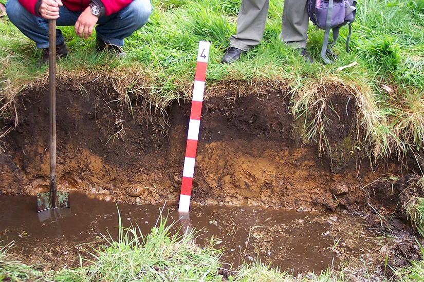 Estudios sobre el suelo como recurso forestal se hicieron presentes en el XIV Congreso de la Ciencia del Suelo
