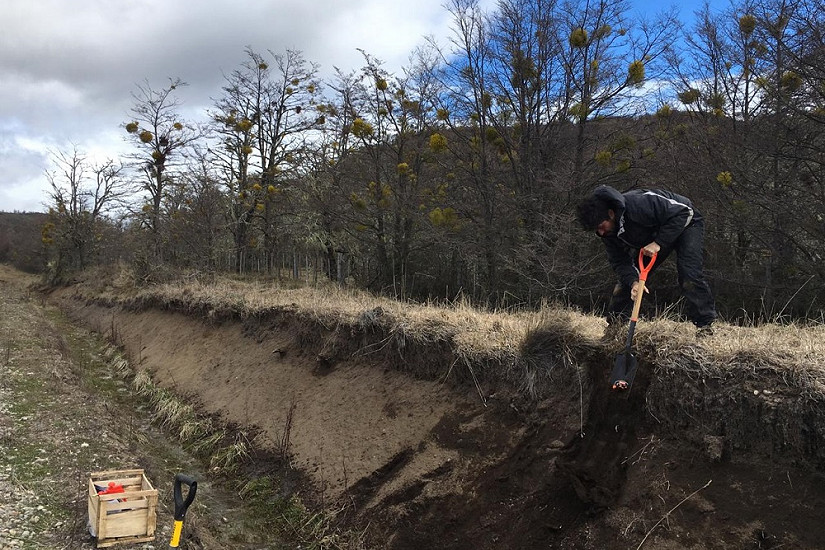 El suelo, un componente esencial e invisible a los ojos