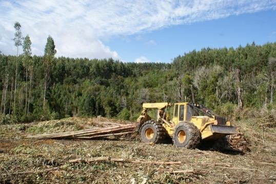 Sociedades científicas y Centros de Investigación respaldan que actividad forestal se someta a evaluación de impacto ambiental