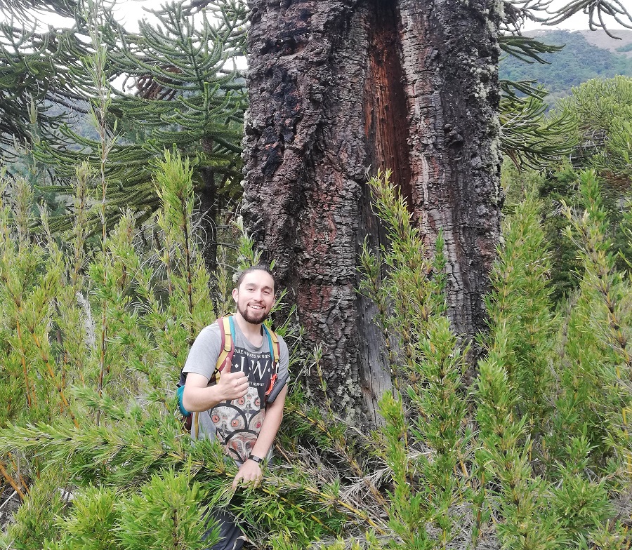 Investigación muestra importante influencia humana y climática sobre el régimen de incendios en Reserva Nacional Malalcahuello