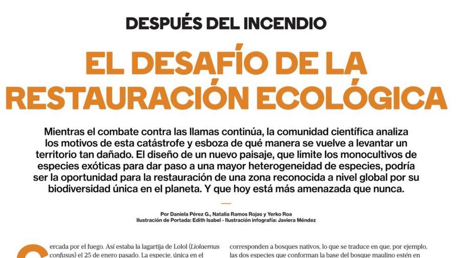 Después del incendio: el desafío de la restauración ecológica