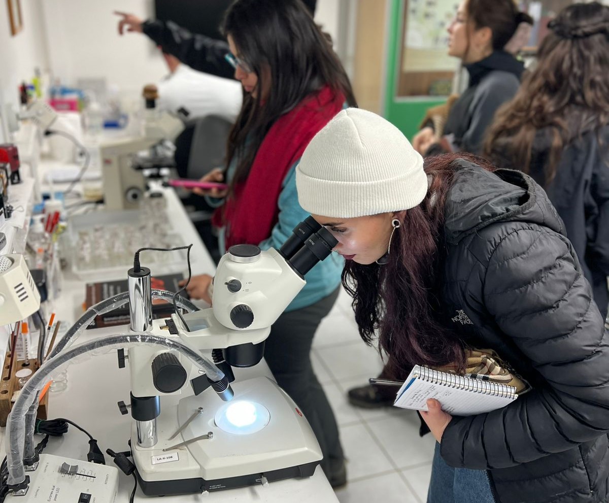 Estudiantes de la UACh conocen el trabajo en sanidad agrícola y forestal en el Laboratorio Regional del SAG en Osorno