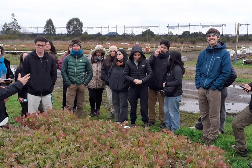 Estudiantes de Ingeniería Forestal de la UACh conocen en terreno la gestión de un vivero