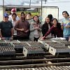 vivero