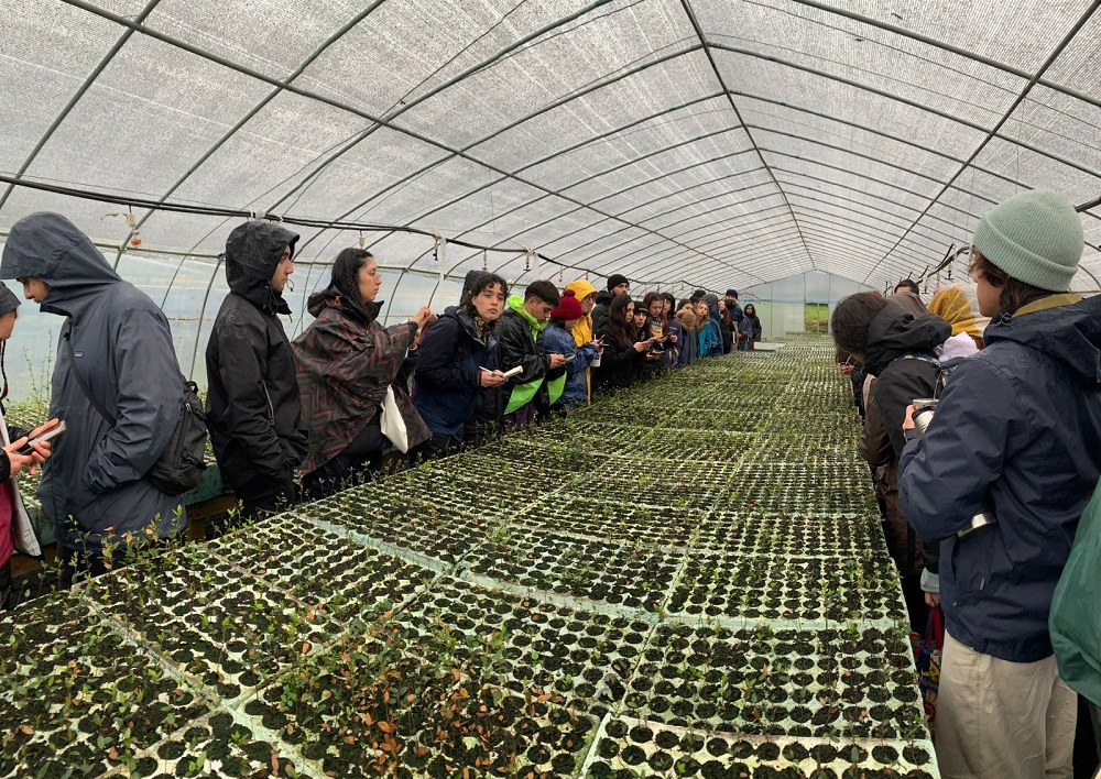Estudiantes de la UACh conocen proceso de producción de plantas nativas
