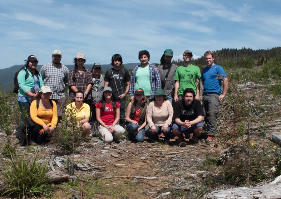 Exitosa jornada de voluntariado en área de restauración de la Reserva Costera Valdiviana