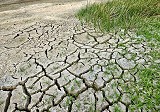 Desde UACh analizan desafíos en el marco de Día Mundial de Lucha contra la Desertificación y la Sequía