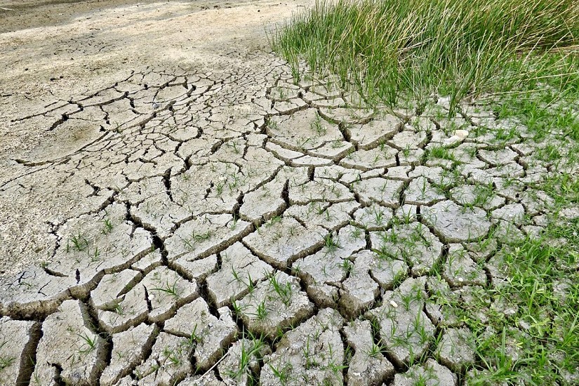 Desde UACh analizan desafíos en el marco de Día Mundial de Lucha contra la Desertificación y la Sequía