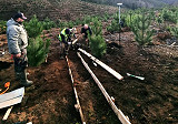Extensión de convenio entre UACh y Forestal Mininco SpA. permitirá avanzar en estudio de monitoreo de cuencas