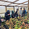 Estudiantes de Ingeniería Forestal conocen sobre producción y calidad de plantas en vivero Huillilemu