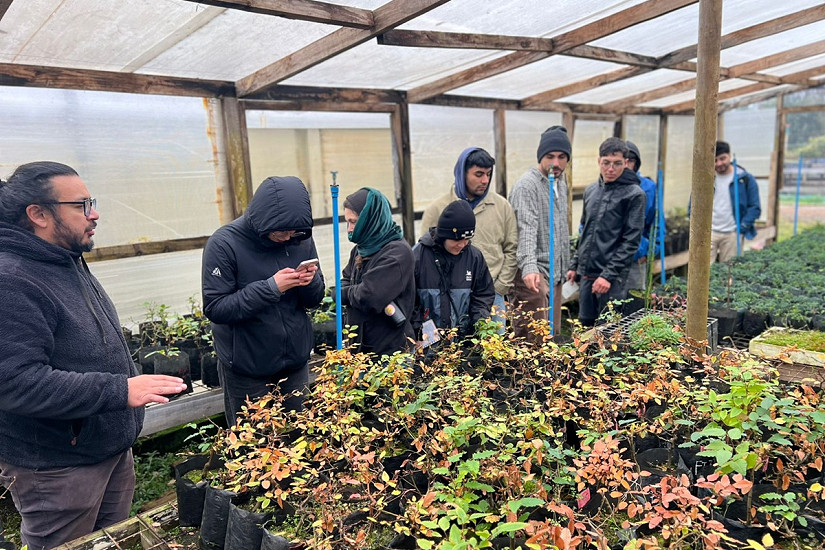 Estudiantes de Ingeniería Forestal conocen sobre producción y calidad de plantas en vivero Huillilemu