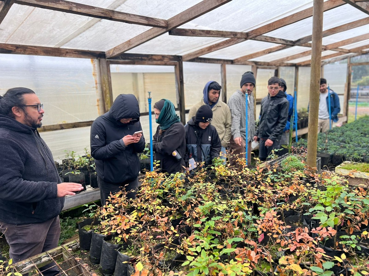 Estudiantes de Ingeniería Forestal conocen sobre producción y calidad de plantas en vivero Huillilemu