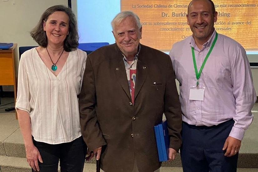 Exacadémico de la UACh obtiene Premio Chileno de Ciencias Forestales 2026
