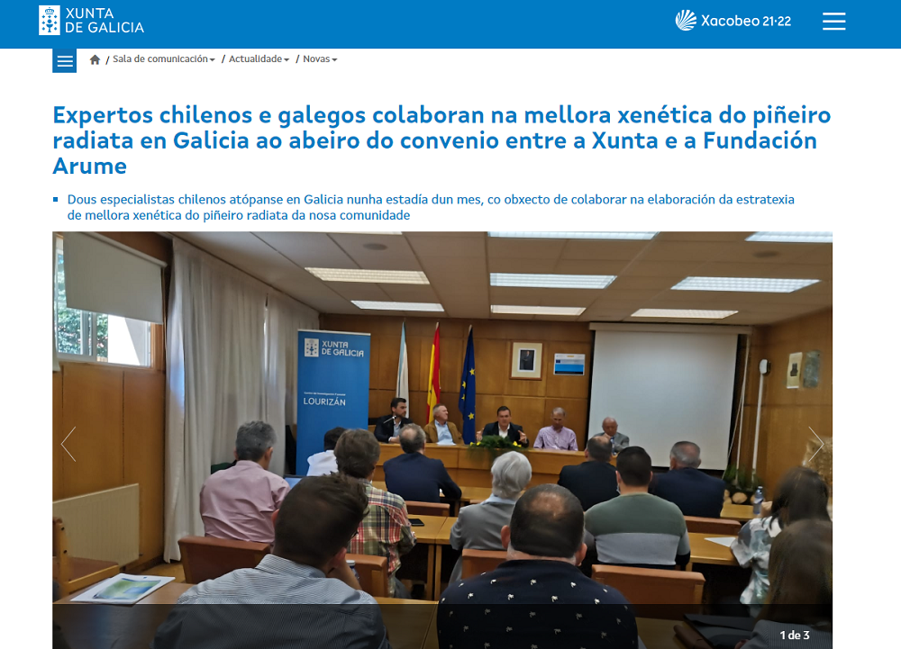 Expertos chilenos e galegos colaboran na mellora xenética do piñeiro radiata en Galicia ao abeiro do convenio entre a Xunta e a Fundación Arume