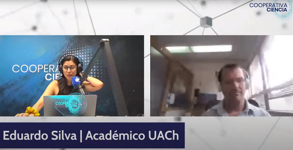 Estudio vigilará qué hacen los zorros cuando deambulan por la ciudad